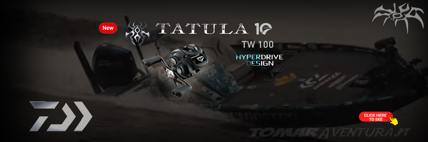 DAIWA TATULA 23 TW 100